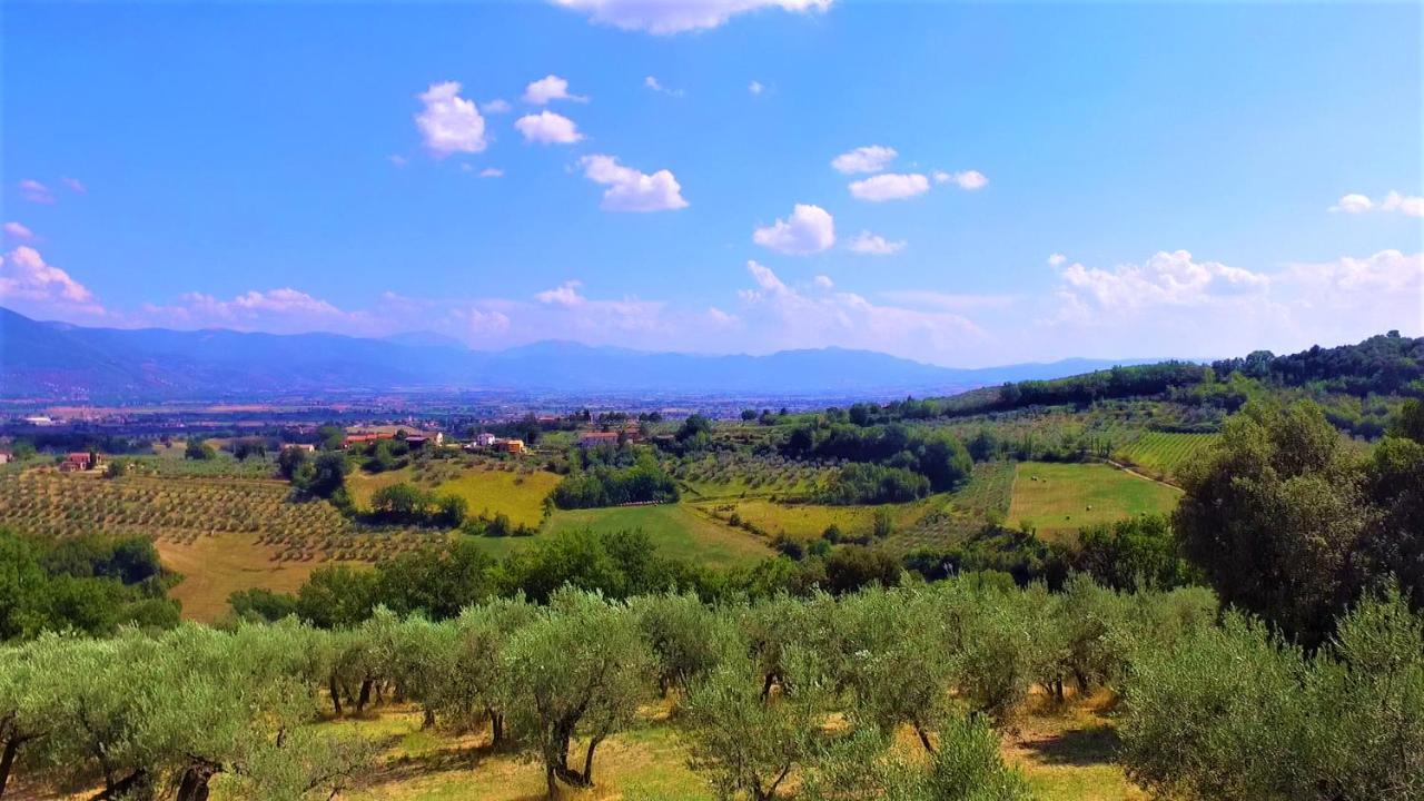 Agriturismo Camiano Piccolo Montefalco Exterior photo