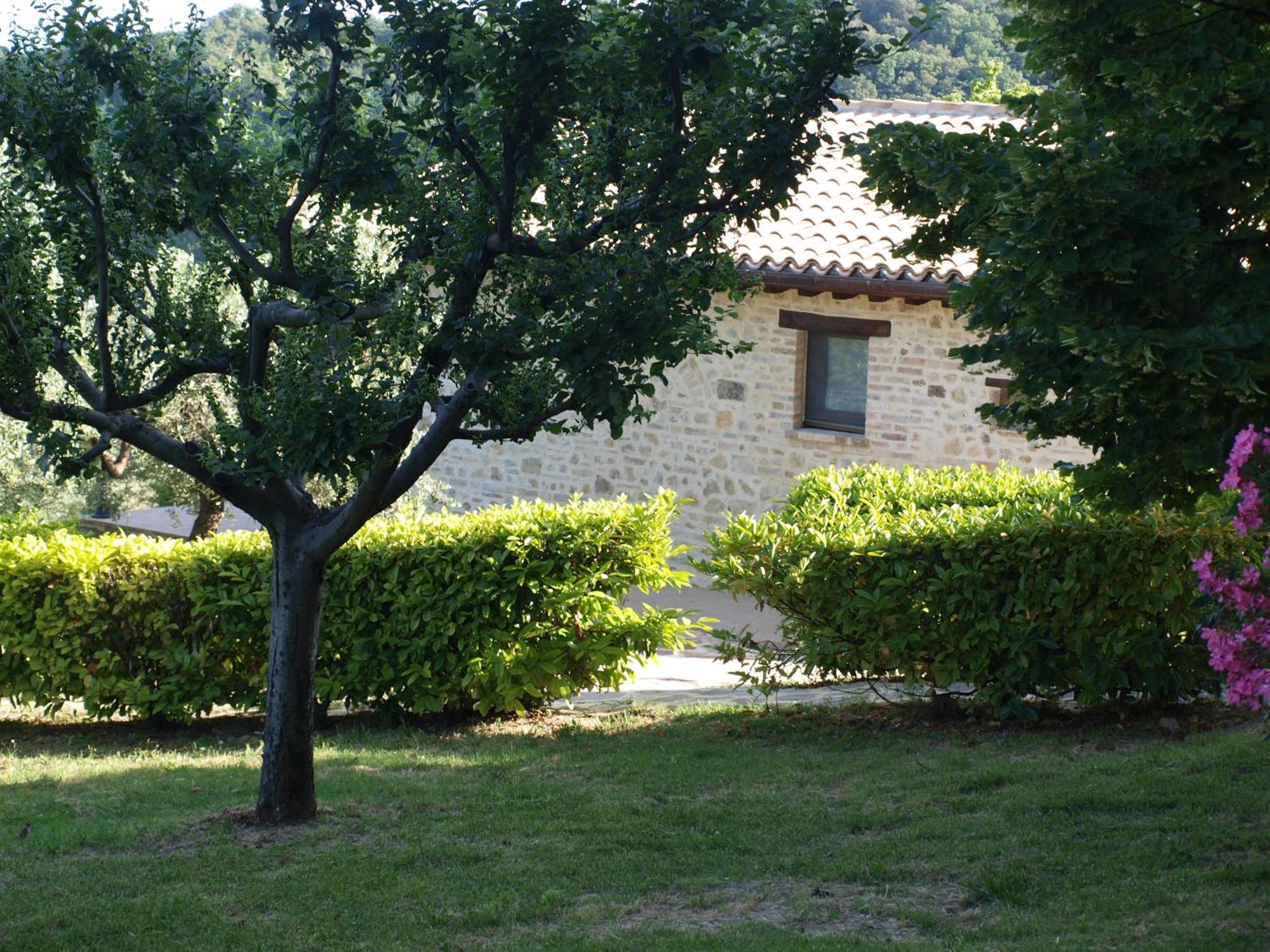 Agriturismo Camiano Piccolo Montefalco Exterior photo